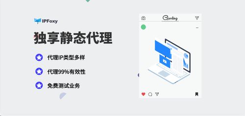 獨(dú)享靜態(tài)代理IP 解鎖海外市場(chǎng)調(diào)研精準(zhǔn)洞察的商務(wù)利器